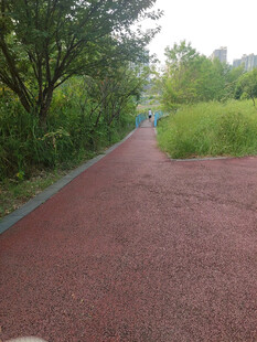 公园中的红色步道