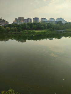 湖畔城市风光