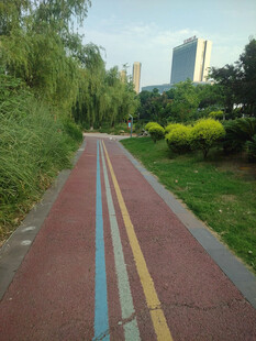 城市彩色步道