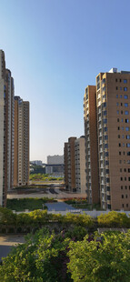 城市高楼与绿植景观