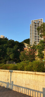 城市江边高楼与绿植景观