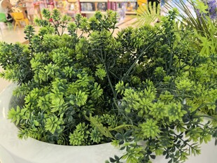 仿真盆栽绿植清新自然景致
