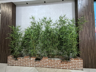 墙边仿真绿植景观
