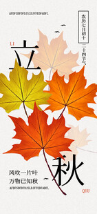立秋时节枫叶装饰图