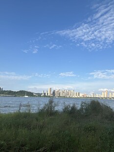 河畔城市风光远眺