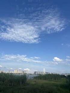 蓝天之下的城市远景