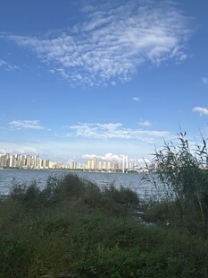 湖畔蓝天绿树城市远景