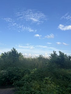 蓝天绿树间的清新景致