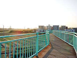 乡村景色