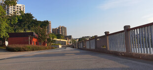 城市河畔道路旁的护栏与远景