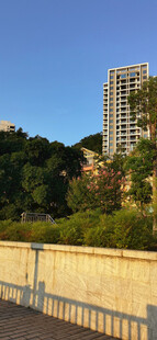 城市河畔高楼与绿植景观