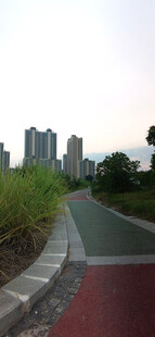 城市中的多彩步道骑行道景观
