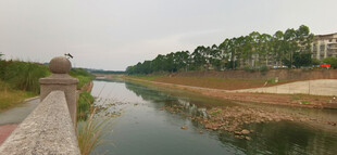 河畔风景绿树环绕的河道