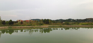 宁静湖畔风景