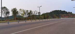 宽阔公路边的绿树与路灯