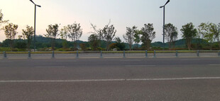 城市道路旁的路灯与围栏