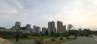 城市远景中的高楼与绿地