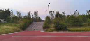 公园红色步道与绿植景观