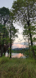 湖畔树林黄昏美景