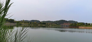 湖畔风光