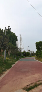 蜿蜒乡间小路
