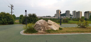 公园巨石与远处城市景观