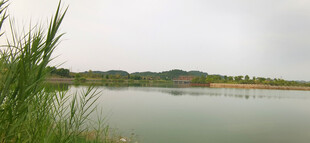 湖畔风光