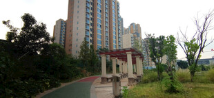 城市中的高楼与休闲凉亭