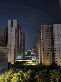城市夜景中的高楼与绿植