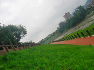 河岸绿草地与红色步道