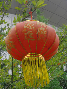 喜庆红灯笼悬挂绿树间