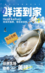 鲜活到家的肥美生蚝