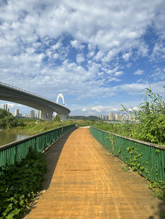 城市中绿意盎然的木质步道