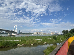 河畔风光与远处桥梁景致