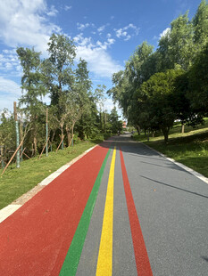 彩色条纹的林间道路