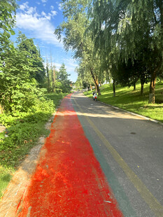 红色步道穿梭于绿意之中