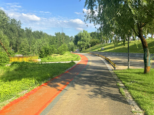 公园彩色步道风景如画