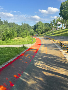 彩色步道旁的自然风景