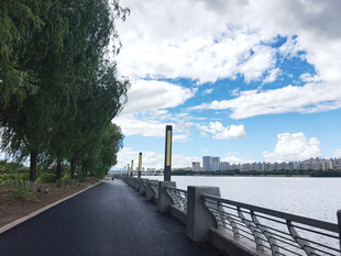 河畔林荫路