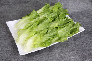 鲜嫩生菜