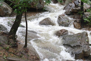 山间湍急溪流
