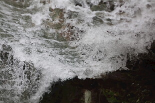 水