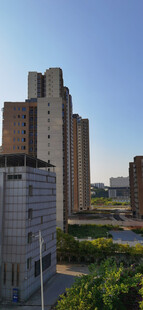 城市高楼与绿植景观