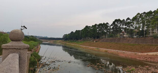 河畔风景宁静自然之美
