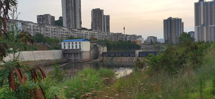 城市河畔堤坝风光