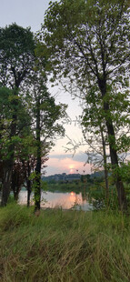 湖畔树林黄昏美景