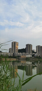 湖畔城市风光