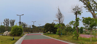 公园宽广的红色步道与绿植