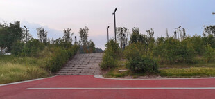 户外红色步道与绿植景观