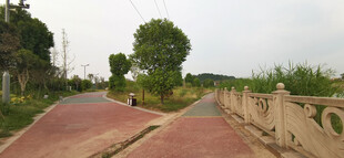 城郊岔路口